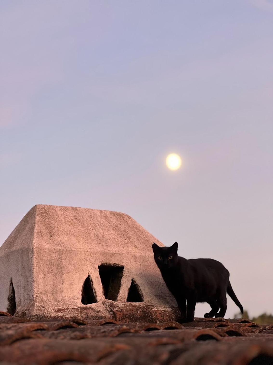 Casa Dos Galegos Βίλα Marvão Εξωτερικό φωτογραφία